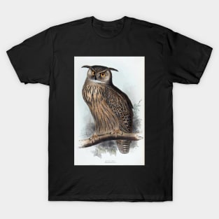 Eagle Owl T-Shirt